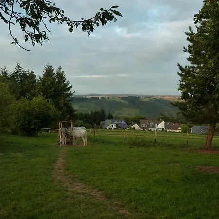 Kuenstlerhaeuschen * Oberwesel